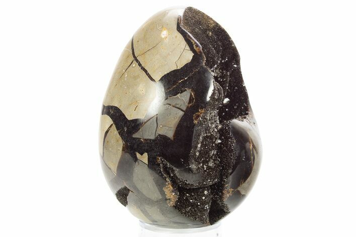 Septarian Dragon Egg Geode - Sparkly Black Crystals #329485
